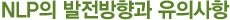 NLP의 발전방향과 유의사항
